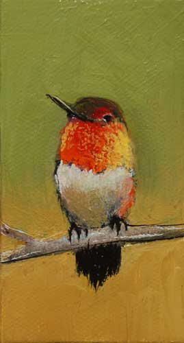 Rufous Hummingbird